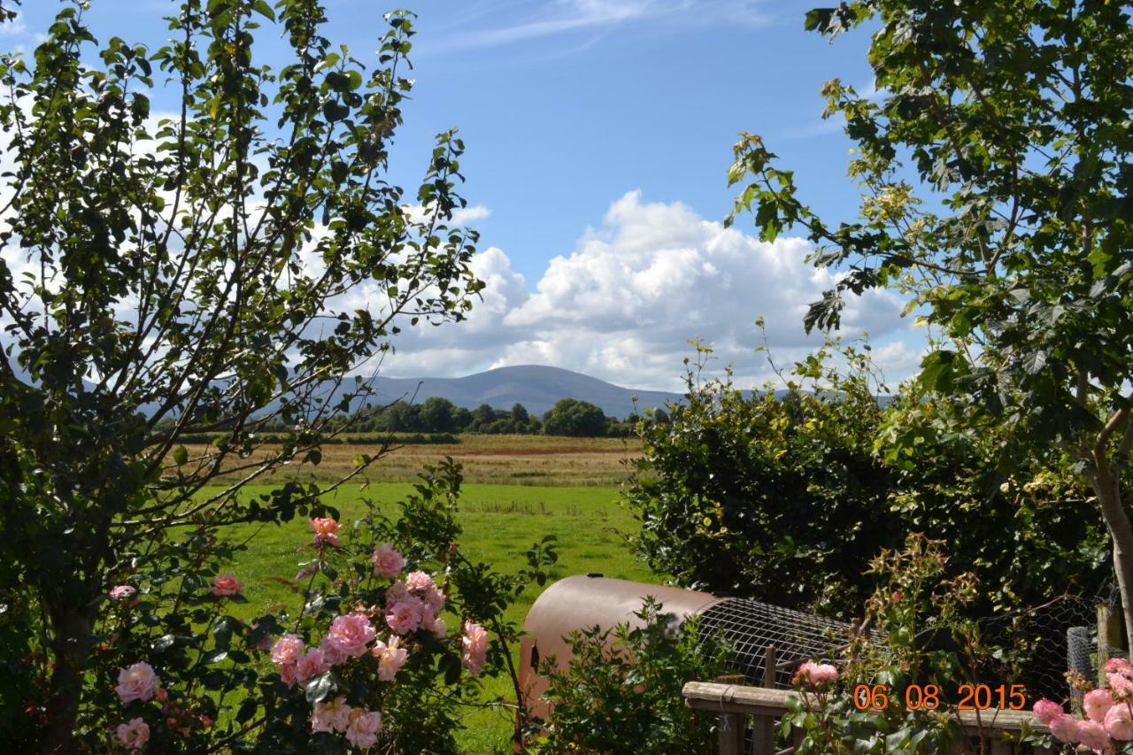 Annaswood B&B Cahir Exterior photo